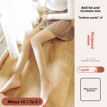 Womens Pantyhose