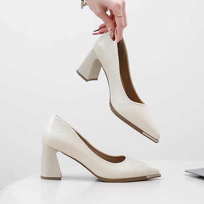 Womens Pointed Toe Chunky Heel Shoes