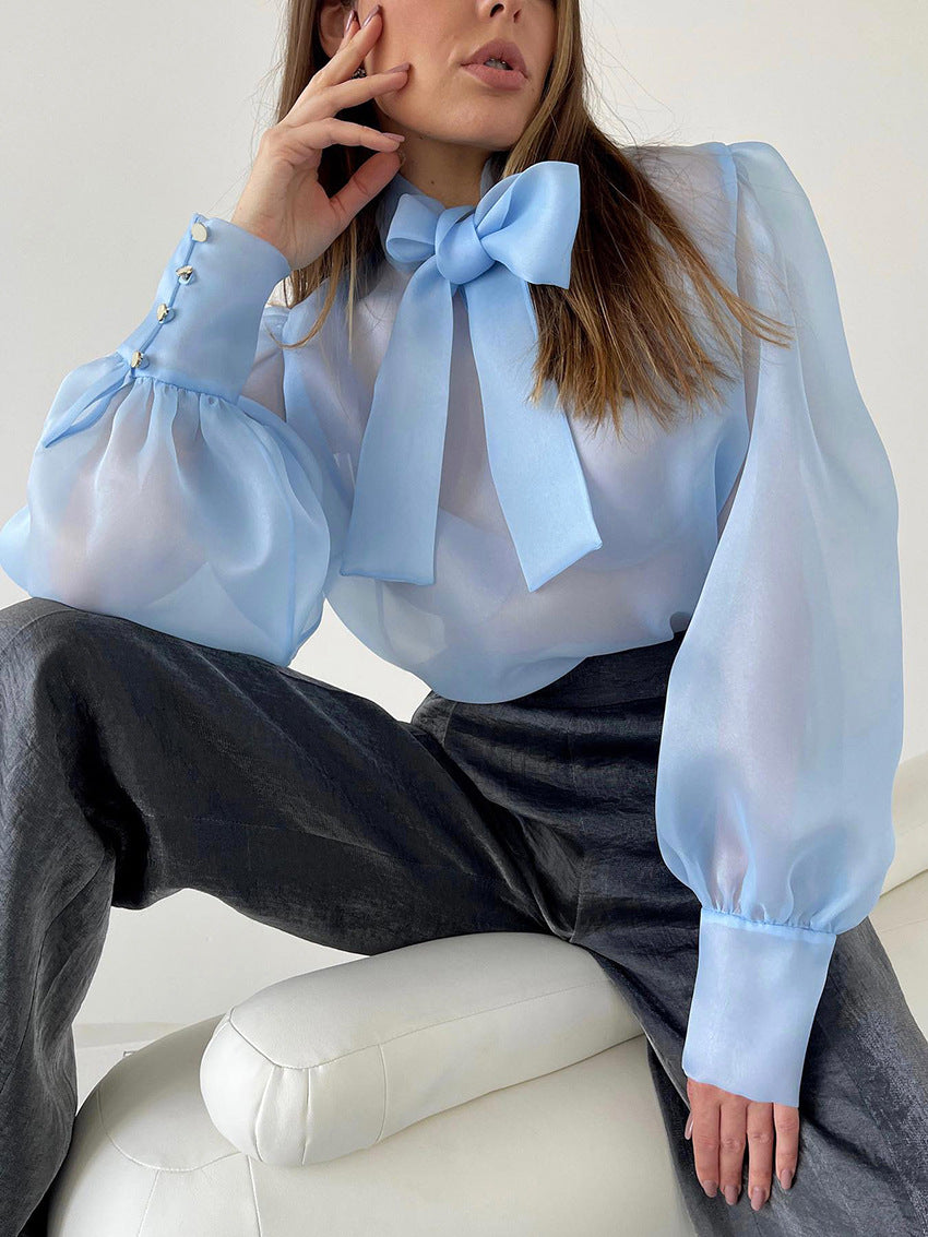 Womens Sheer Mesh Pullover Top