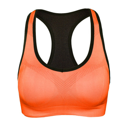 Womens Sports Bra