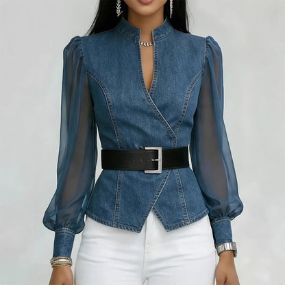 Womens V-Neck Lace Long Sleeve Blouse