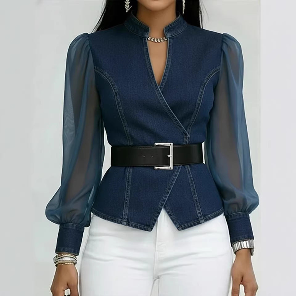 Womens V-Neck Lace Long Sleeve Blouse