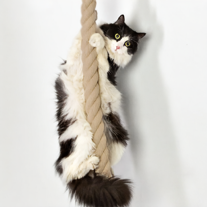 Wooden cat climbing frame