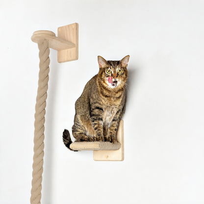 Wooden cat climbing frame