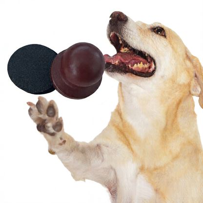 Wooden Dog Scratch Board