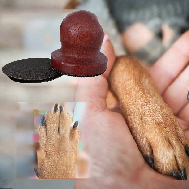 Wooden Dog Scratch Board