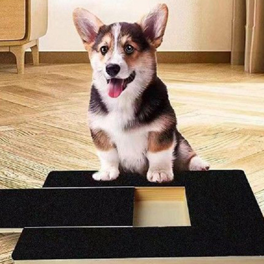 Wooden Dog Scratching Board with Food Storage Box