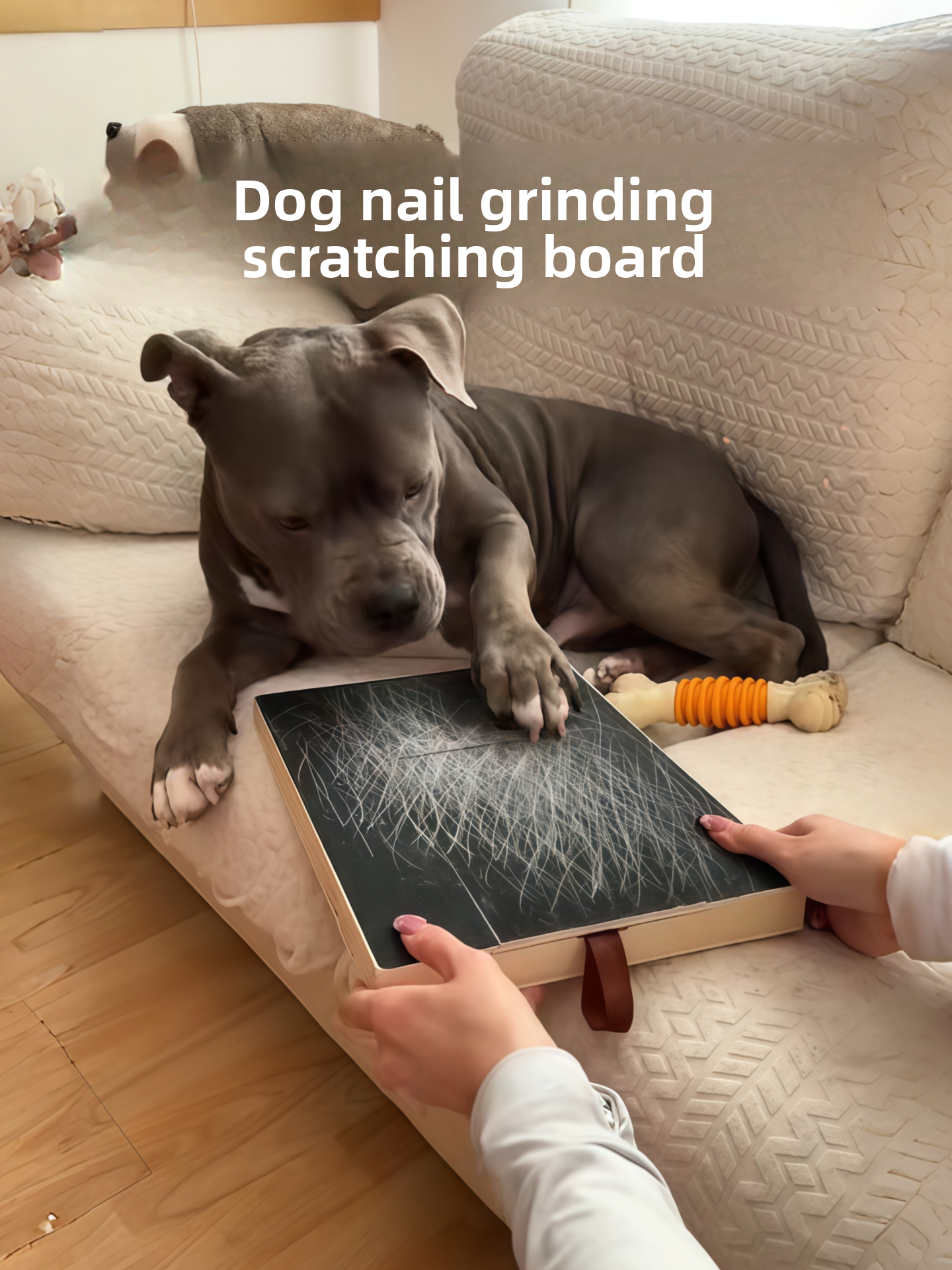 Wooden Dog Scratching Board with Pull-Out Food Box and Sandpaper