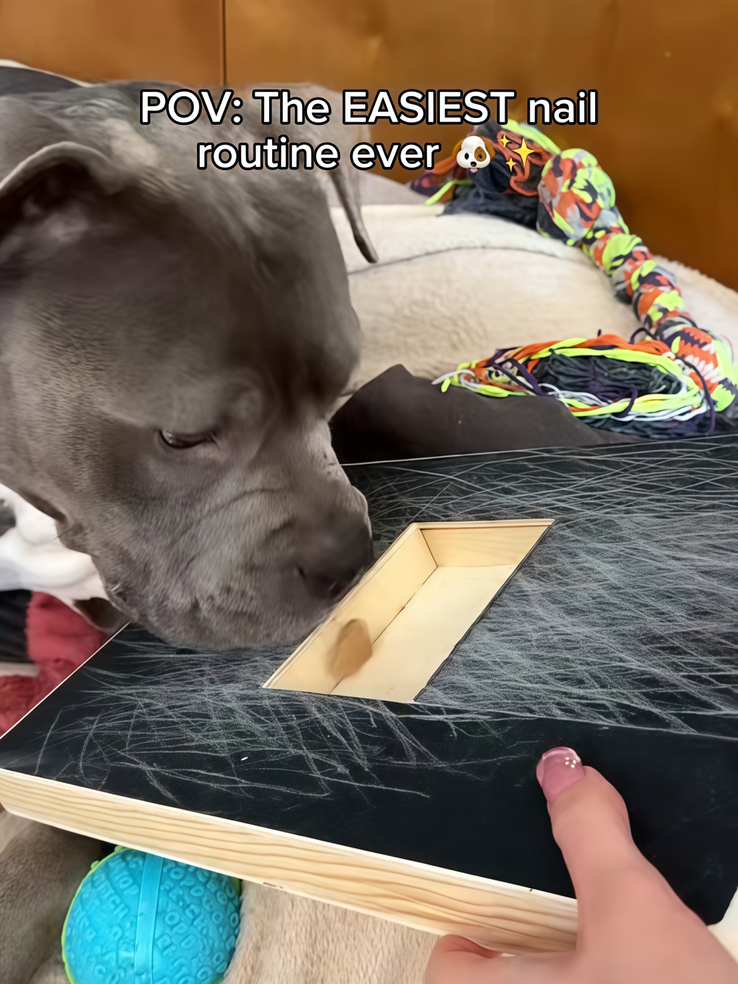 Wooden Dog Scratching Board with Pull-Out Food Box and Sandpaper