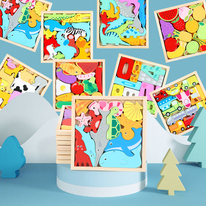 Wooden Educational Puzzle Blocks