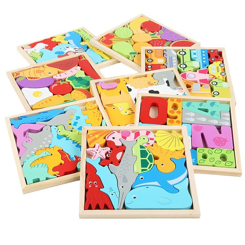 Wooden Educational Puzzle Blocks