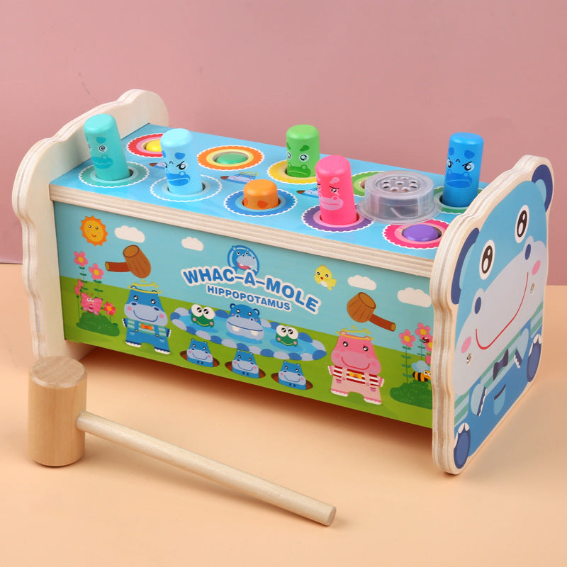 Wooden Educational Toy
