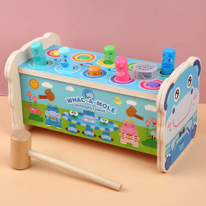 Wooden Educational Toy