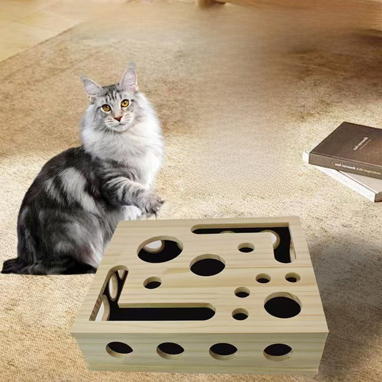 Wooden Fun Maze