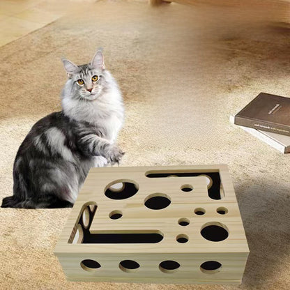 Wooden Fun Maze