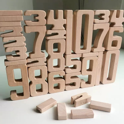 Wooden Geometric Shape Matching Blocks