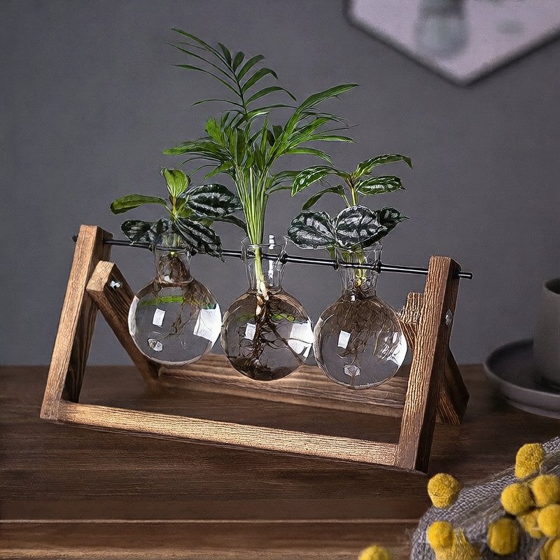 Wooden Hydroponic Plant Display Stand