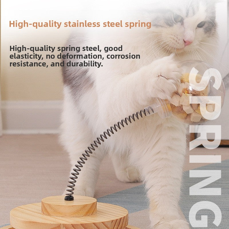 Wooden Interactive Pet Feeder Turntable Toy