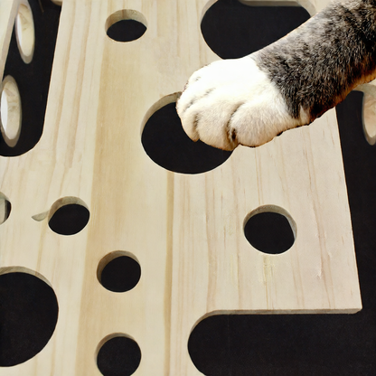 Wooden maze box