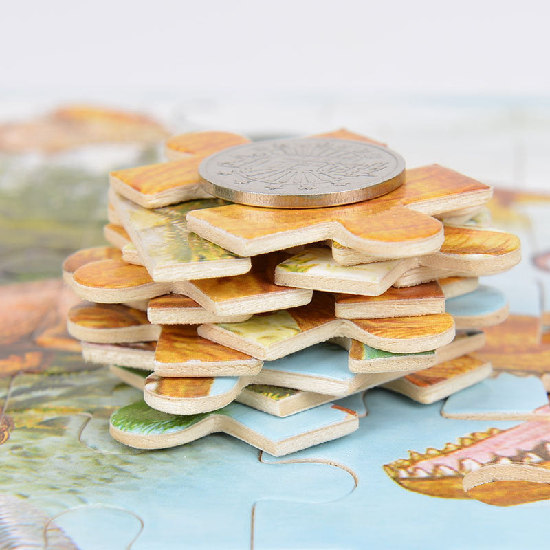 Wooden Puzzle Toy