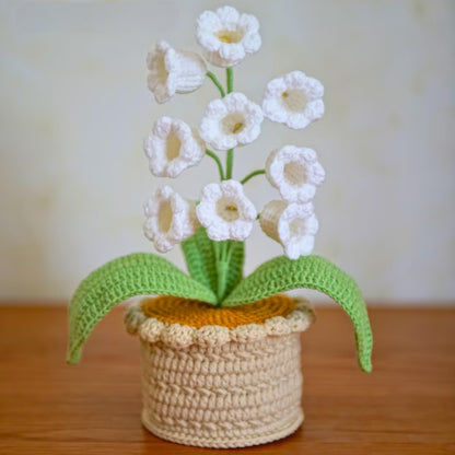 Wool potted plant