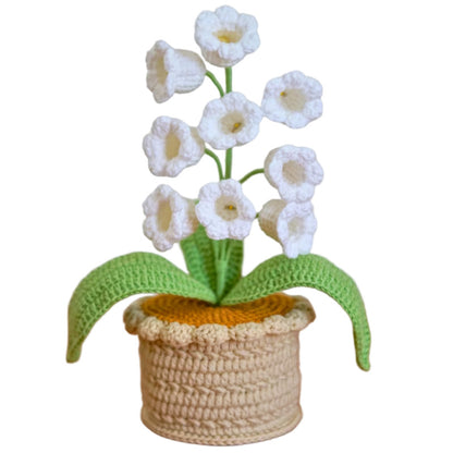 Wool potted plant