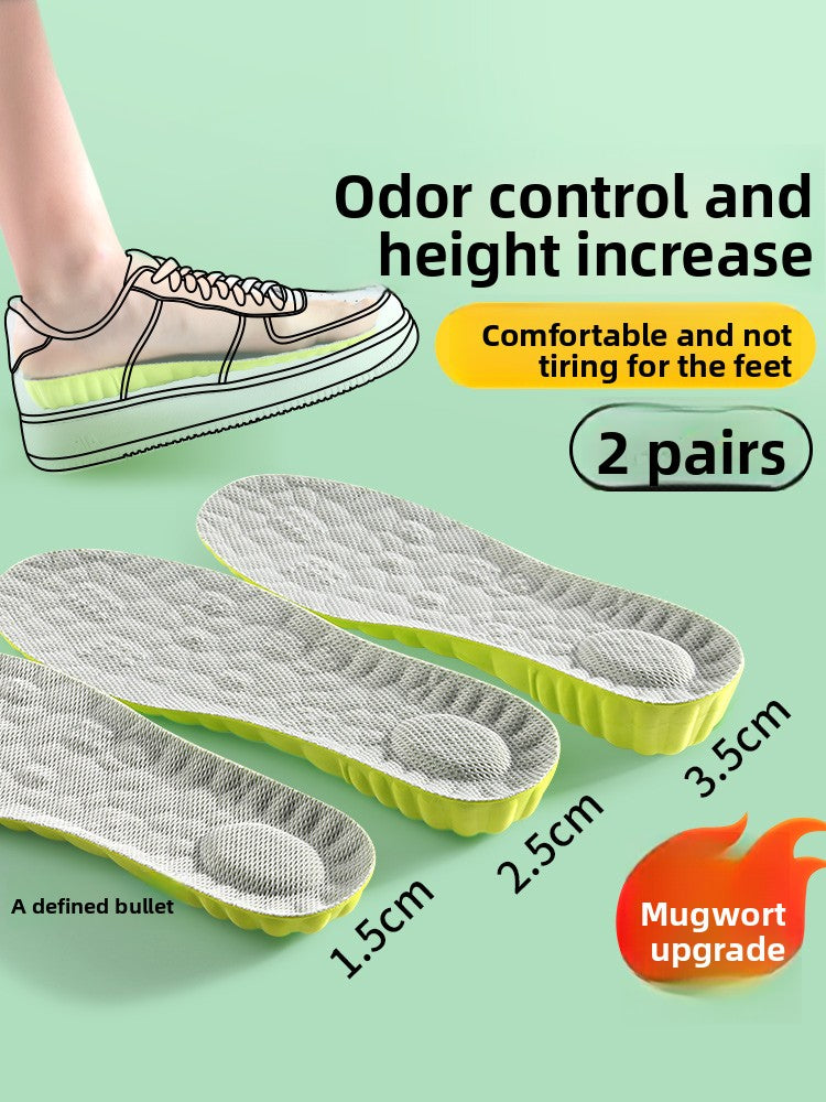 Wormwood deodorant heightening insole