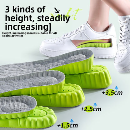 Wormwood deodorant heightening insole