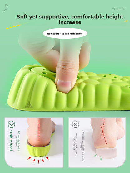 Wormwood deodorant heightening insole