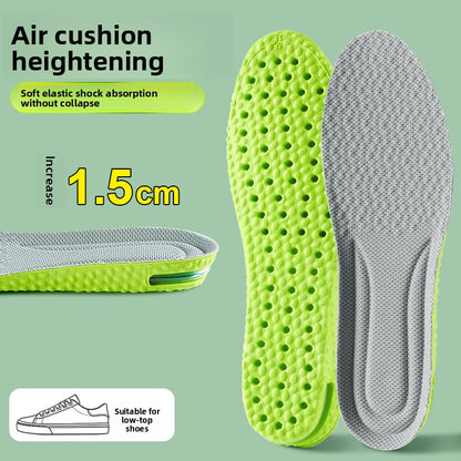 Wormwood deodorant heightening insole