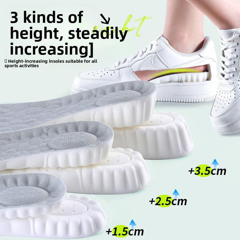 Wormwood deodorant heightening insole