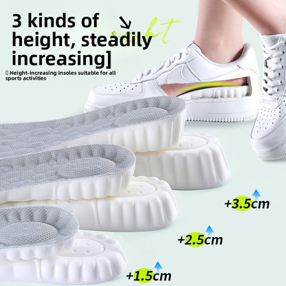 Wormwood deodorant heightening insole