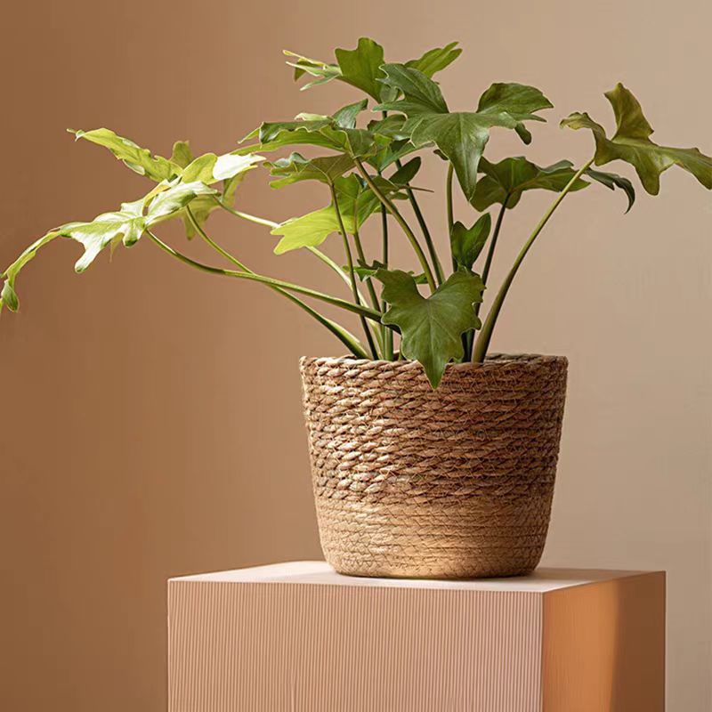 woven basket