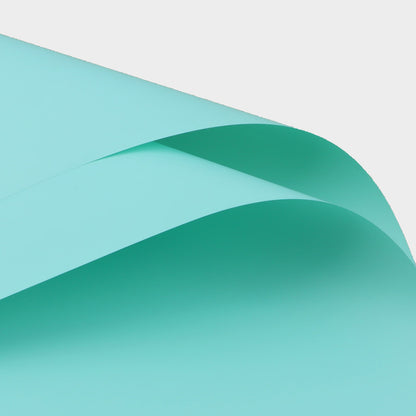 Wrapping Paper
