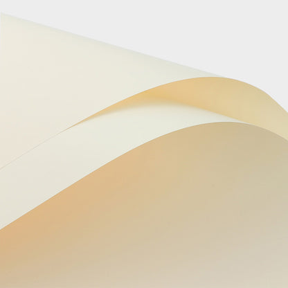 Wrapping Paper