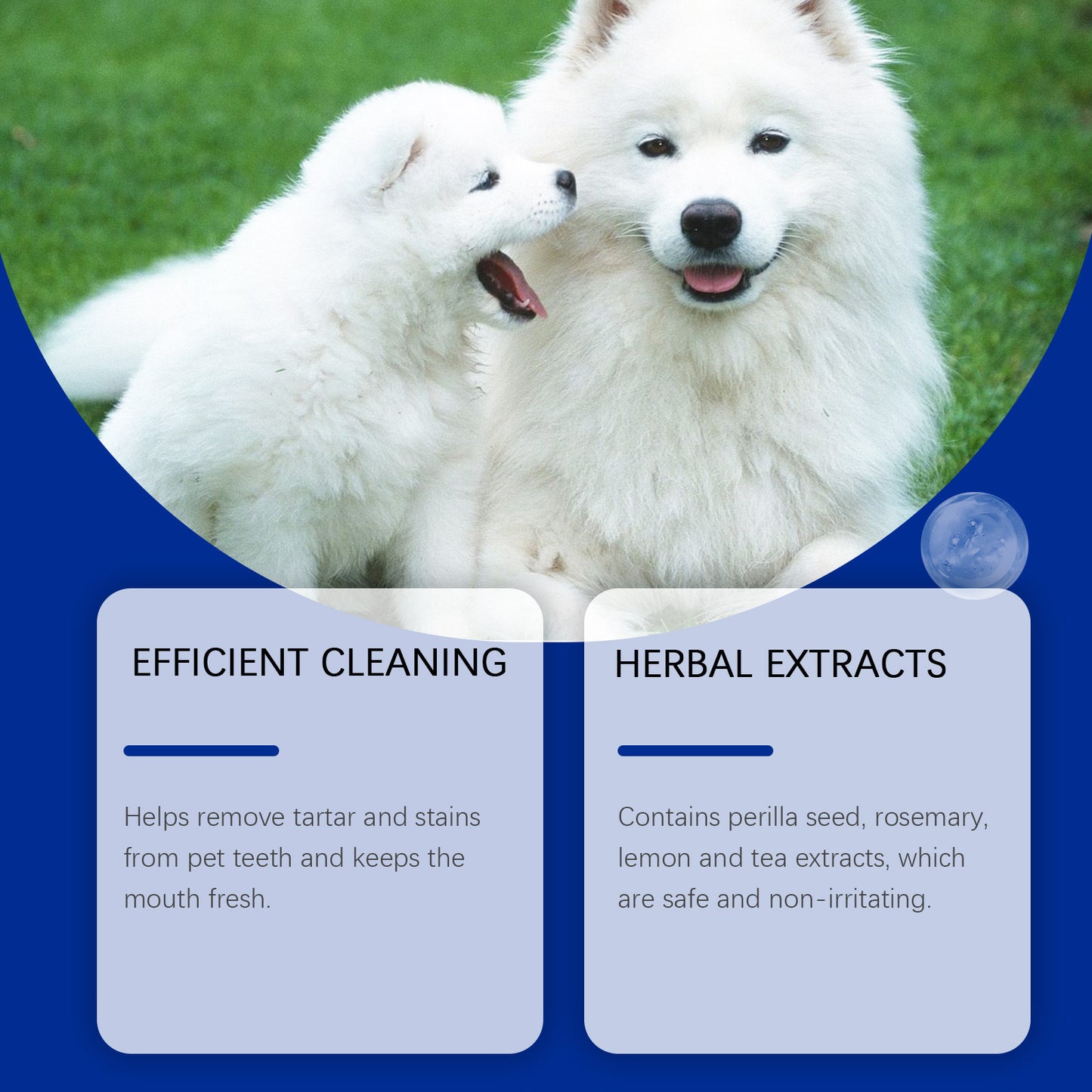 Yegbong Tooth Cleaning Powder