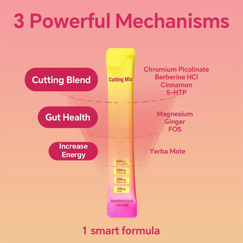 Yerba Mate Tea Sachet