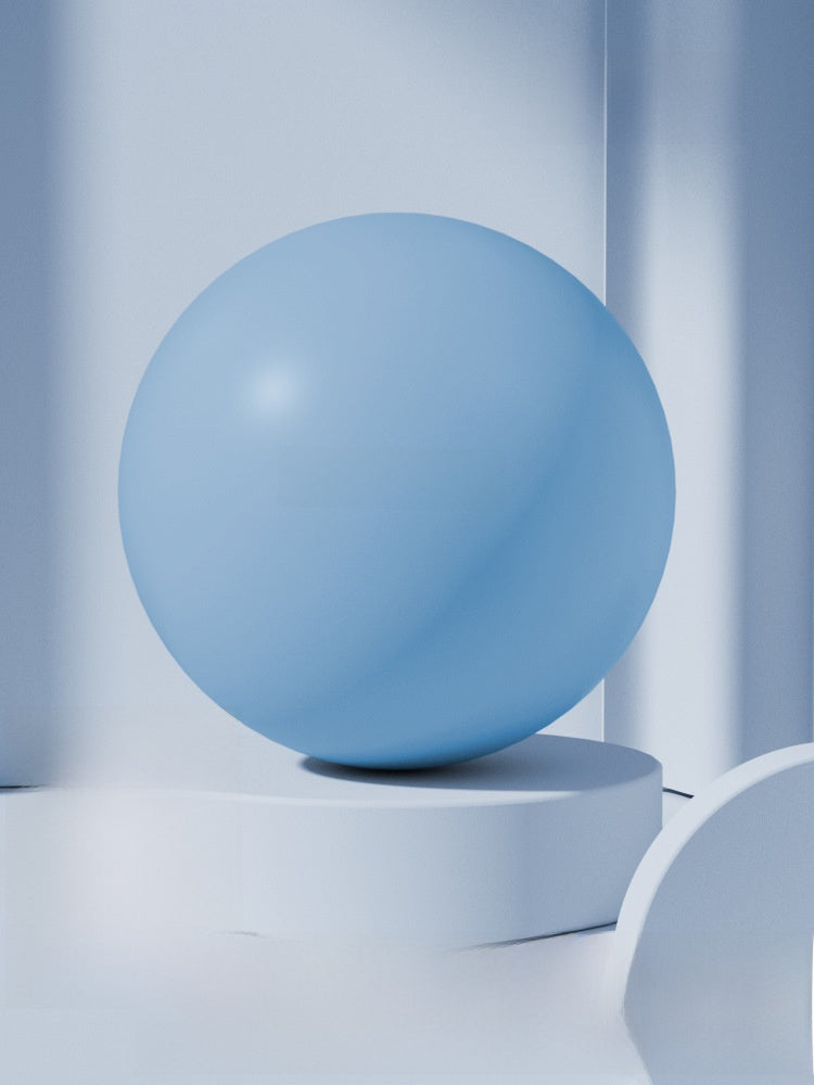 Yoga Exercise Ball