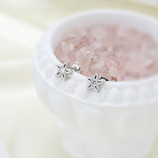 Zircon Accent Steel Earrings