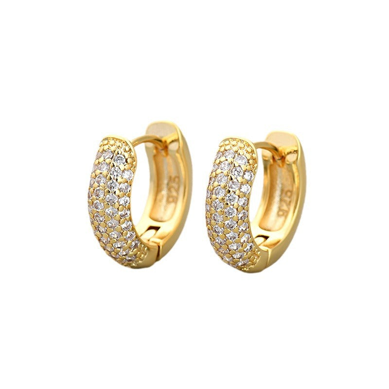 zircon earrings