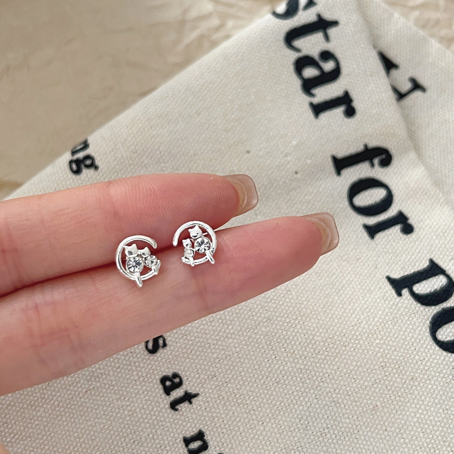 Zirconite ear rings