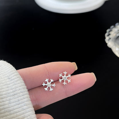 Zirconite ear rings